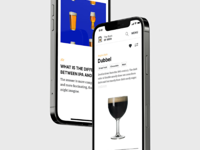 The Beer Book